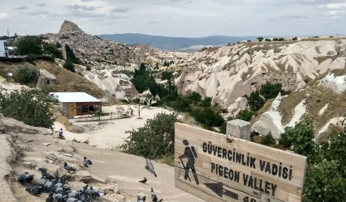 17a472e65a34999928bdc485f8c7f5d3